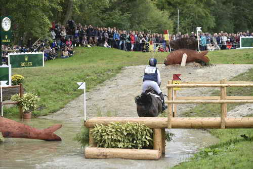 WEG1-Eventing-8-30-14-0009076-LynnSymansky-Donner-USA-DDeRosaPhoto