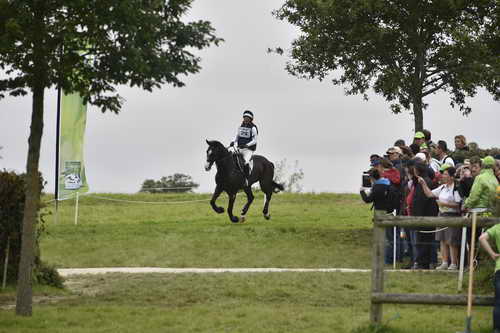 WEG1-Eventing-8-30-14-0008095-PhillipDutton-TradingAces-USA-DDeRosaPhoto