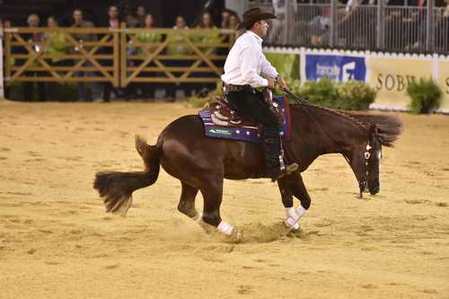 WEG-Reining-8-30-14-0000814-AndreaFappani-CustomCashAdvance-USA-DDeRosaPhoto