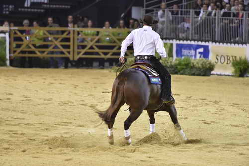 WEG-Reining-8-30-14-0000826-AndreaFappani-CustomCashAdvance-USA-DDeRosaPhoto