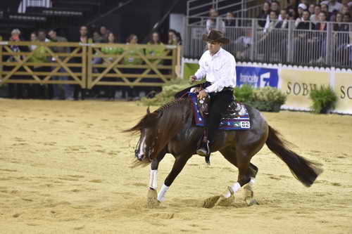 WEG-Reining-8-30-14-0000830-AndreaFappani-CustomCashAdvance-USA-DDeRosaPhoto