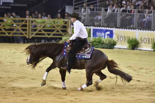 WEG-Reining-8-30-14-0000831-AndreaFappani-CustomCashAdvance-USA-DDeRosaPhoto