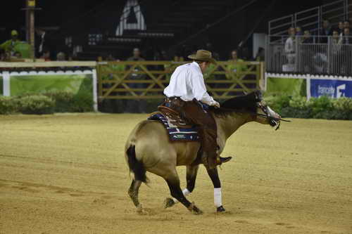 WEG-Reining-8-30-14-0000519-JordanLarson-HFMobster-USA-DDeRosaPhoto