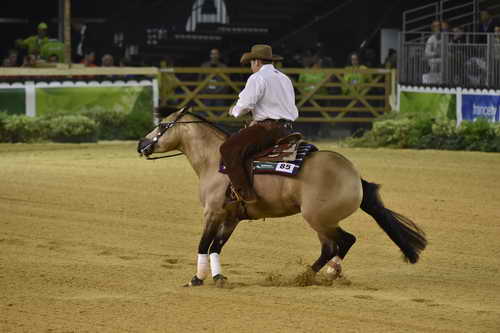 WEG-Reining-8-30-14-0000523-JordanLarson-HFMobster-USA-DDeRosaPhoto