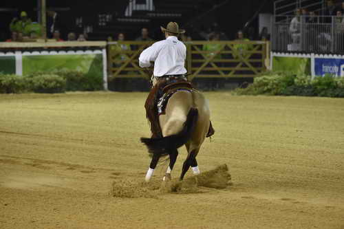WEG-Reining-8-30-14-0000533-JordanLarson-HFMobster-USA-DDeRosaPhoto