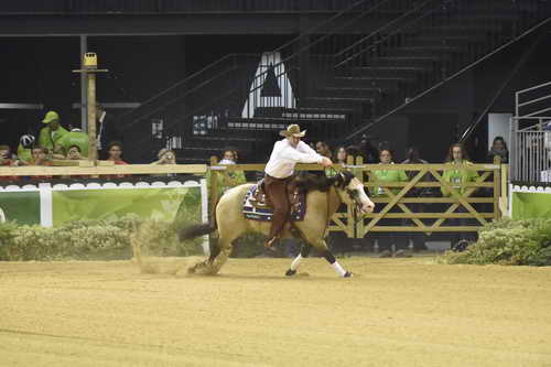WEG-Reining-8-30-14-0000545-JordanLarson-HFMobster-USA-DDeRosaPhoto