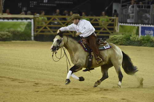 WEG-Reining-8-30-14-0000550-JordanLarson-HFMobster-USA-DDeRosaPhoto