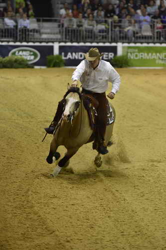 WEG-Reining-8-30-14-0000562-JordanLarson-HFMobster-USA-DDeRosaPhoto