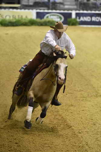 WEG-Reining-8-30-14-0000563-JordanLarson-HFMobster-USA-DDeRosaPhoto