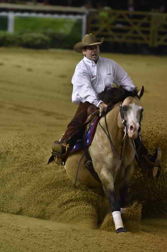 WEG-Reining-8-30-14-0000575-JordanLarson-HFMobster-USA-DDeRosaPhoto
