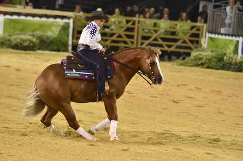 WEG-Reining-8-30-14-0000654-MandyMcCutcheon-YellowJersey-USA-DDeRosaPhoto