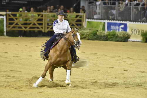 WEG-Reining-8-30-14-0000662-MandyMcCutcheon-YellowJersey-USA-DDeRosaPhoto