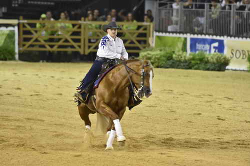 WEG-Reining-8-30-14-0000666-MandyMcCutcheon-YellowJersey-USA-DDeRosaPhoto