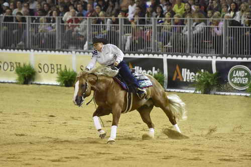 WEG-Reining-8-30-14-0000674-MandyMcCutcheon-YellowJersey-USA-DDeRosaPhoto