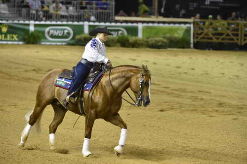 WEG-Reining-8-30-14-0000684-MandyMcCutcheon-YellowJersey-USA-DDeRosaPhoto