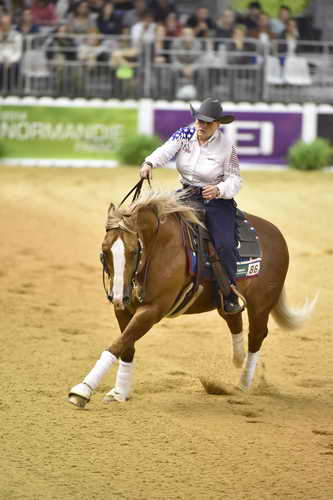 WEG-Reining-8-30-14-0000685-MandyMcCutcheon-YellowJersey-USA-DDeRosaPhoto