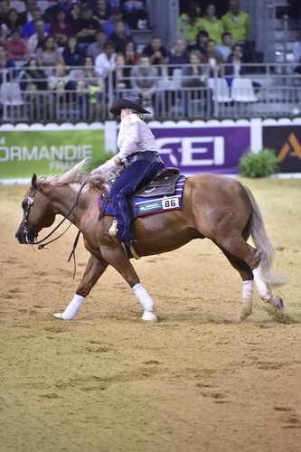 WEG-Reining-8-30-14-0000697-MandyMcCutcheon-YellowJersey-USA-DDeRosaPhoto