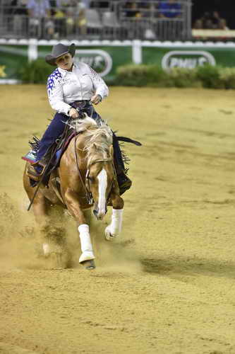 WEG-Reining-8-30-14-0000704-MandyMcCutcheon-YellowJersey-USA-DDeRosaPhoto