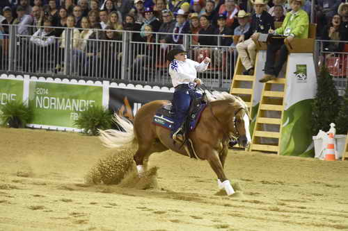 WEG-Reining-8-30-14-0000713-MandyMcCutcheon-YellowJersey-USA-DDeRosaPhoto