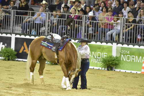 WEG-Reining-8-30-14-0000731-MandyMcCutcheon-YellowJersey-USA-DDeRosaPhoto