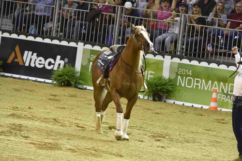 WEG-Reining-8-30-14-0000733-MandyMcCutcheon-YellowJersey-USA-DDeRosaPhoto