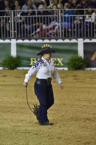 WEG-Reining-8-30-14-0000742-MandyMcCutcheon-YellowJersey-USA-DDeRosaPhoto