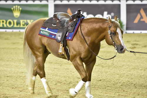 WEG-Reining-8-30-14-0000744-MandyMcCutcheon-YellowJersey-USA-DDeRosaPhoto