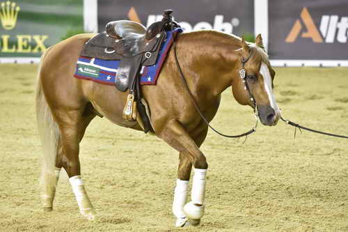 WEG-Reining-8-30-14-0000745-MandyMcCutcheon-YellowJersey-USA-DDeRosaPhoto