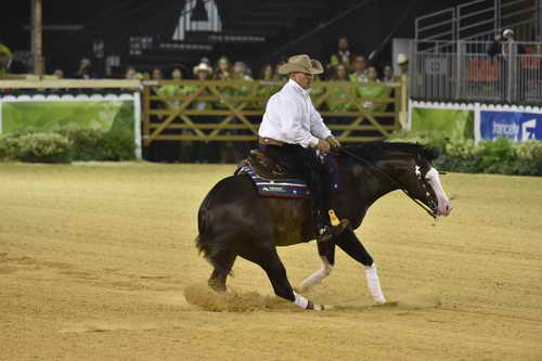 WEG-Reining-8-30-14-0000913ShawnFlarida-SpooksGottaWhiz-USA-DDeRosaPhoto