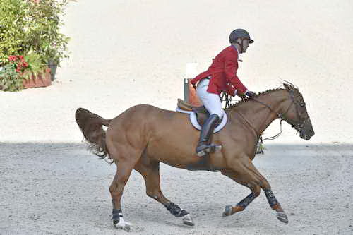 WEG1-SJ-Team2-9-4-14-0002046-McLainWard-Rothchild-USA-DDeRosaPhoto