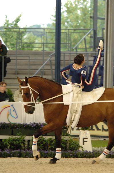 096-WEG-Vaulting-8-24-06-&copy;DeRosaPhoto.jpg