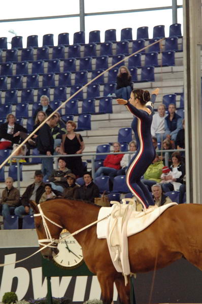 105-WEG-Vaulting-8-24-06-&copy;DeRosaPhoto.jpg