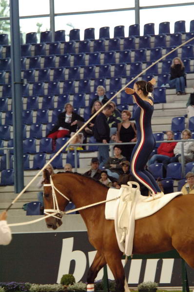 106-WEG-Vaulting-8-24-06-&copy;DeRosaPhoto.jpg