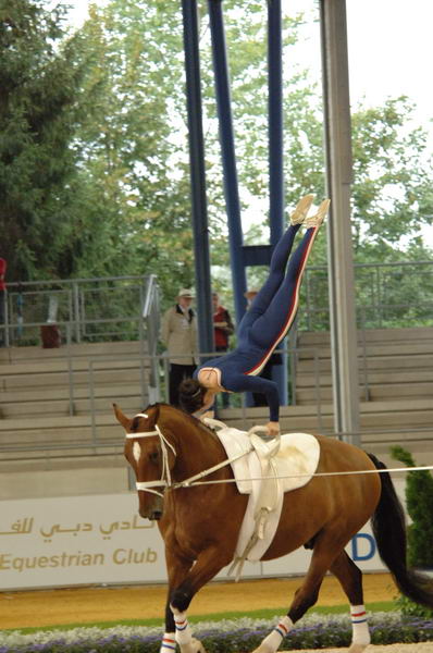 108-WEG-Vaulting-8-24-06-&copy;DeRosaPhoto.jpg