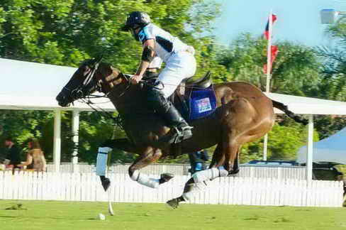 IPC-Polo-1-8-17-6623-DDeRosaPhoto-copy