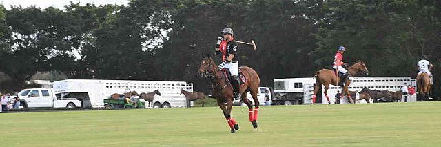 IPC-Polo-1-1-17-1071-DDeRosaPhoto-header