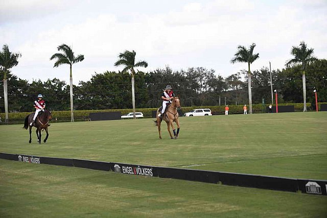 IPC-Polo-1-1-17-1083-DDeRosaPhoto