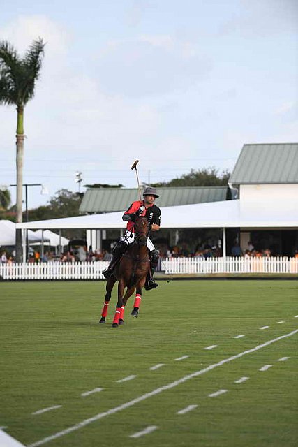 IPC-Polo-1-1-17-1195-DDeRosaPhoto