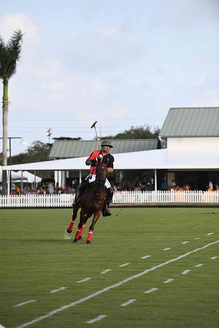 IPC-Polo-1-1-17-1196-DDeRosaPhoto