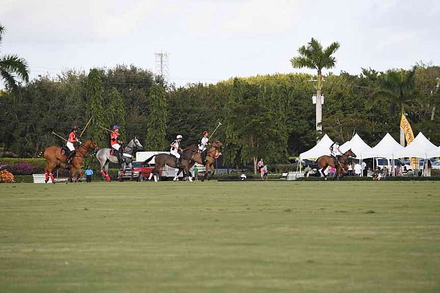 IPC-Polo-1-1-17-1232-DDeRosaPhoto