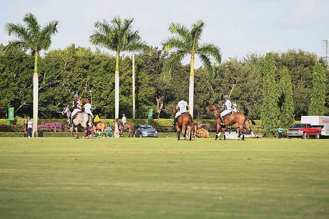 IPC-Polo-1-1-17-1244-DDeRosaPhoto