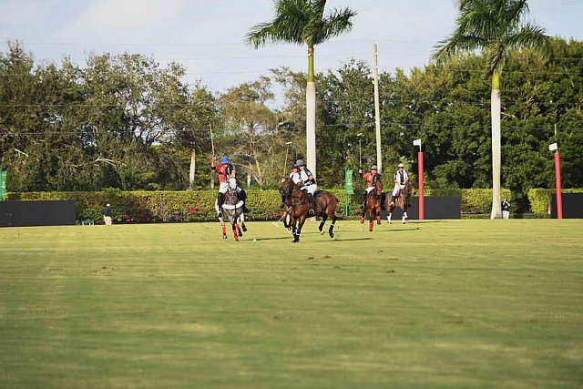 IPC-Polo-1-1-17-1246-DDeRosaPhoto