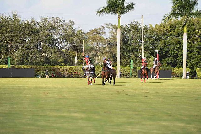 IPC-Polo-1-1-17-1247-DDeRosaPhoto