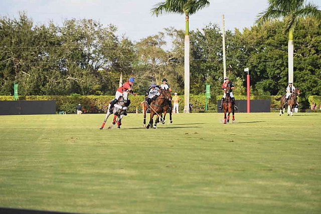 IPC-Polo-1-1-17-1249-DDeRosaPhoto