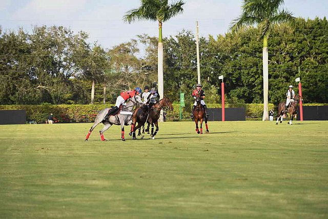 IPC-Polo-1-1-17-1250-DDeRosaPhoto