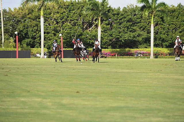 IPC-Polo-1-1-17-1254-DDeRosaPhoto