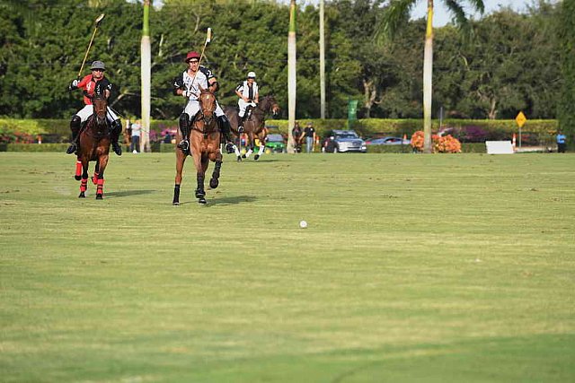 IPC-Polo-1-1-17-1255-DDeRosaPhoto