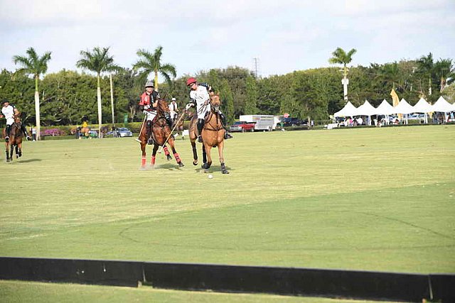 IPC-Polo-1-1-17-1256-DDeRosaPhoto