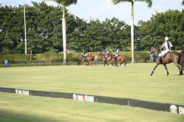 IPC-Polo-1-1-17-1258-DDeRosaPhoto