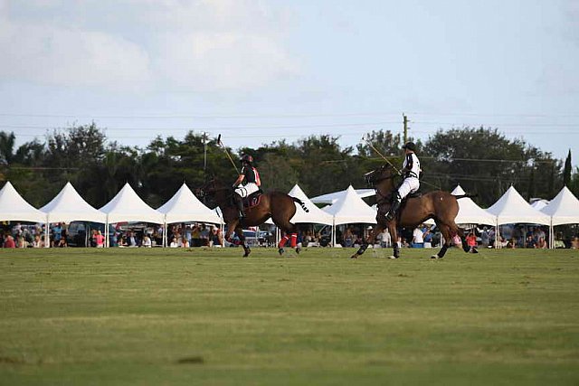 IPC-Polo-1-1-17-1306-DDeRosaPhoto